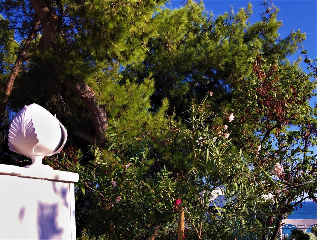 Le Due Pigne (Adults Only) Villa Taranto Dış mekan fotoğraf