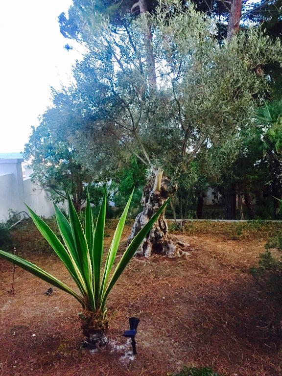 Le Due Pigne (Adults Only) Villa Taranto Dış mekan fotoğraf